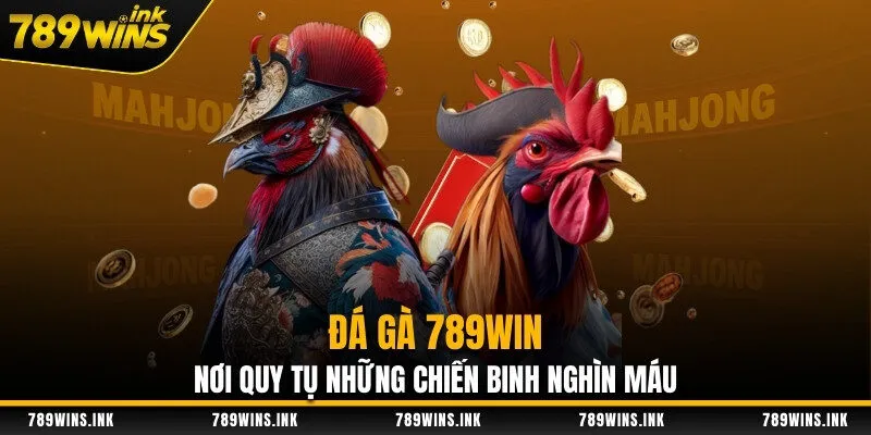 Đá Gà 789WIN - Nơi Quy Tụ Những Chiến Binh Nghìn Máu