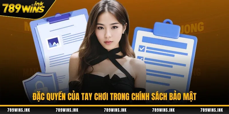 Đặc quyền của tay chơi trong chính sách bảo mật