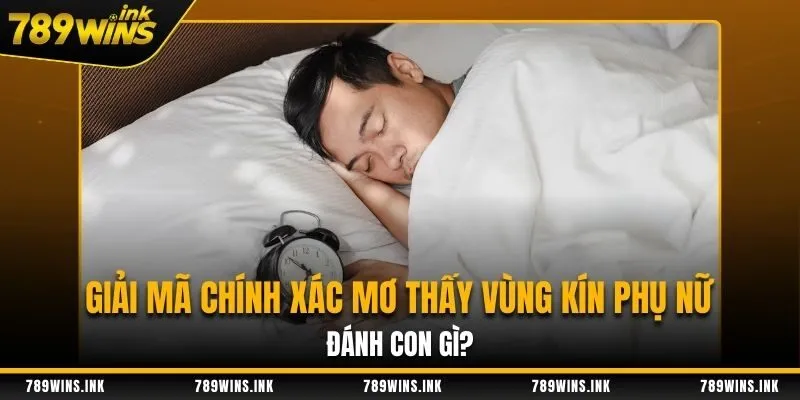 Giải Mã Chính Xác Mơ Thấy Vùng Kín Phụ Nữ Đánh Con Gì? 