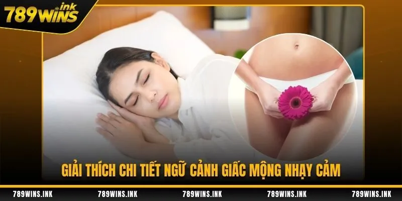Giải thích chi tiết ngữ cảnh giấc mộng nhạy cảm