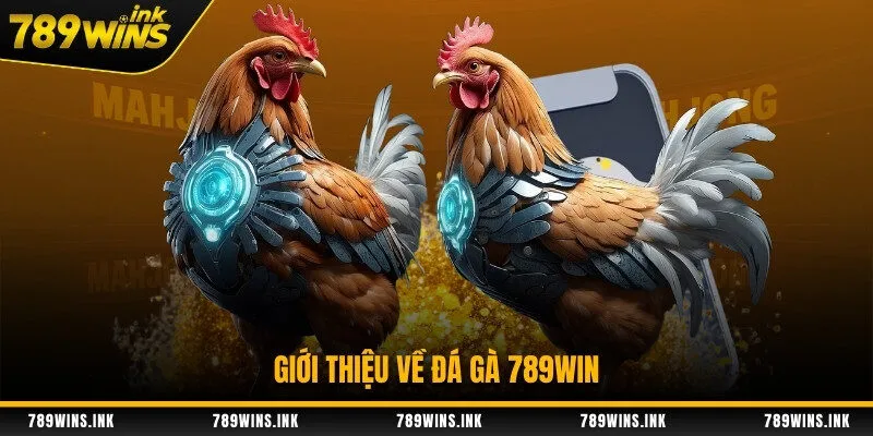Giới thiệu về đá gà 789WIN