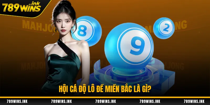 Hội cá độ lô đề miền Bắc là gì?