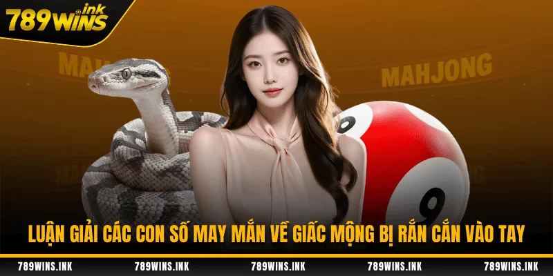 Luận giải các con số may mắn về giấc mộng bị rắn cắn vào tay