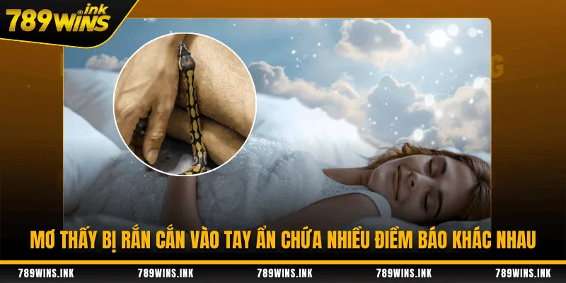 Mơ thấy bị rắn cắn vào tay ẩn chứa nhiều điềm báo khác nhau