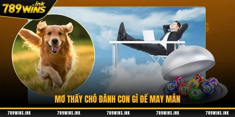 Mơ thấy chó đánh con gì để may mắn tại 789WIN
