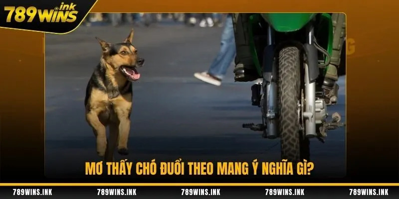 Mơ thấy chó đuổi theo mang ý nghĩa gì?