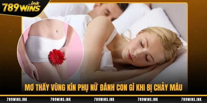 Mơ thấy vùng kín phụ nữ đánh con gì khi bị chảy máu