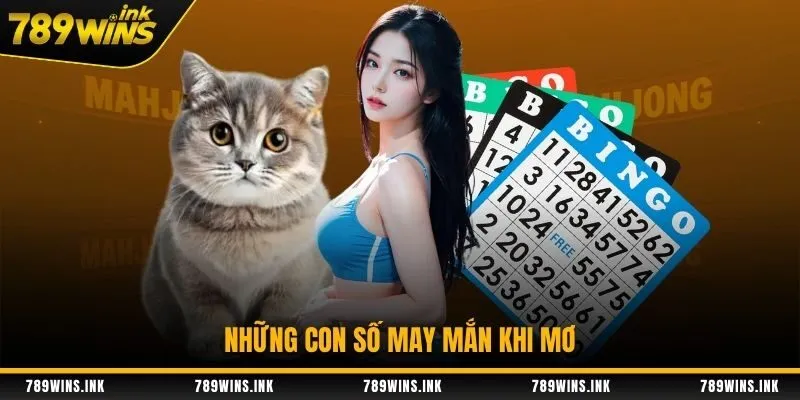 Những con số may mắn khi mơ