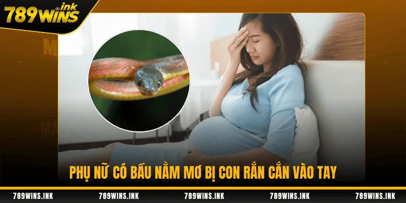 Phụ nữ có bầu nằm mơ bị con rắn cắn vào tay